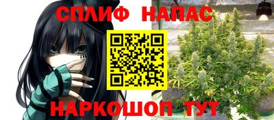mdpv Будённовск